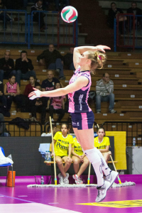 pomi-bisonte-dentro2