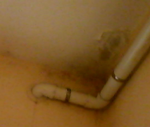 giuseppina muffa dentro