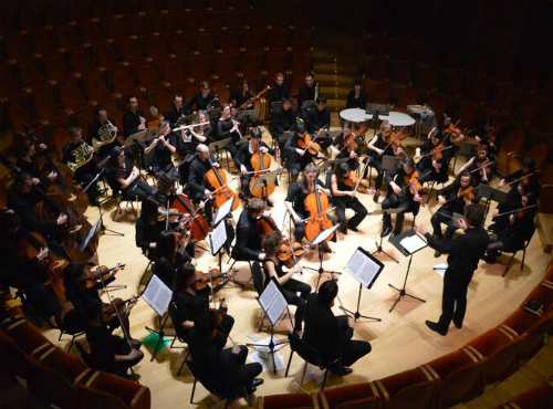 orchestra digiione - dentro