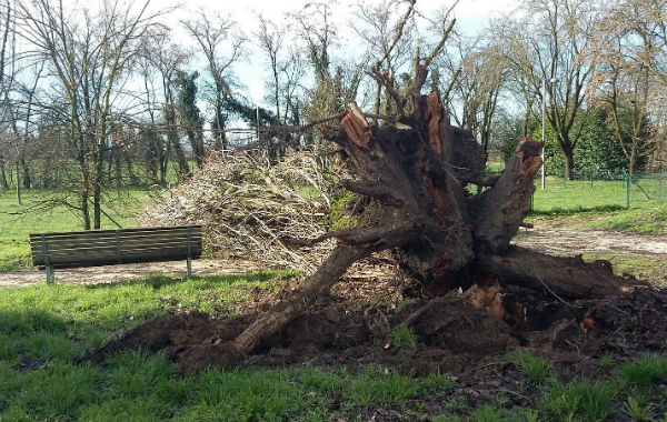 nubifragio3 panizza - dentro