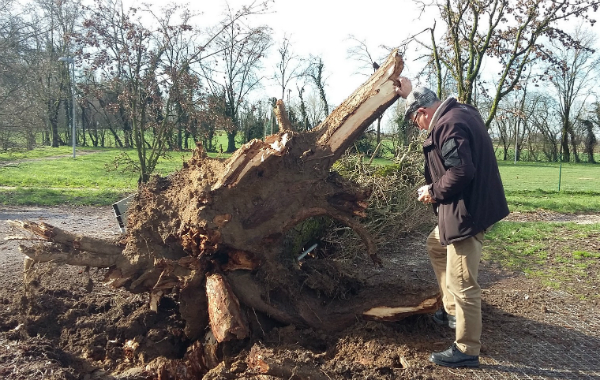nubifragio4 panizza - dentro