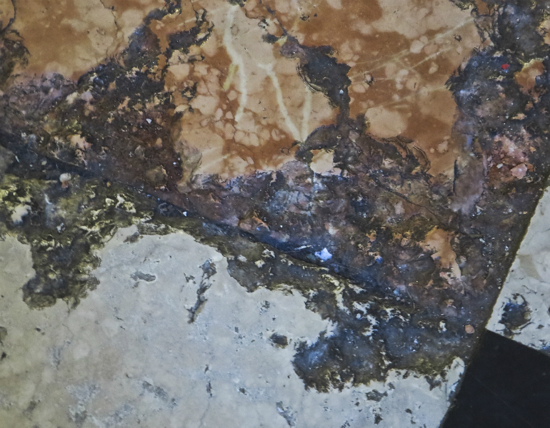 cattedrale dentro part