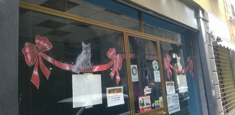 guarneri-negozio-cani-evid