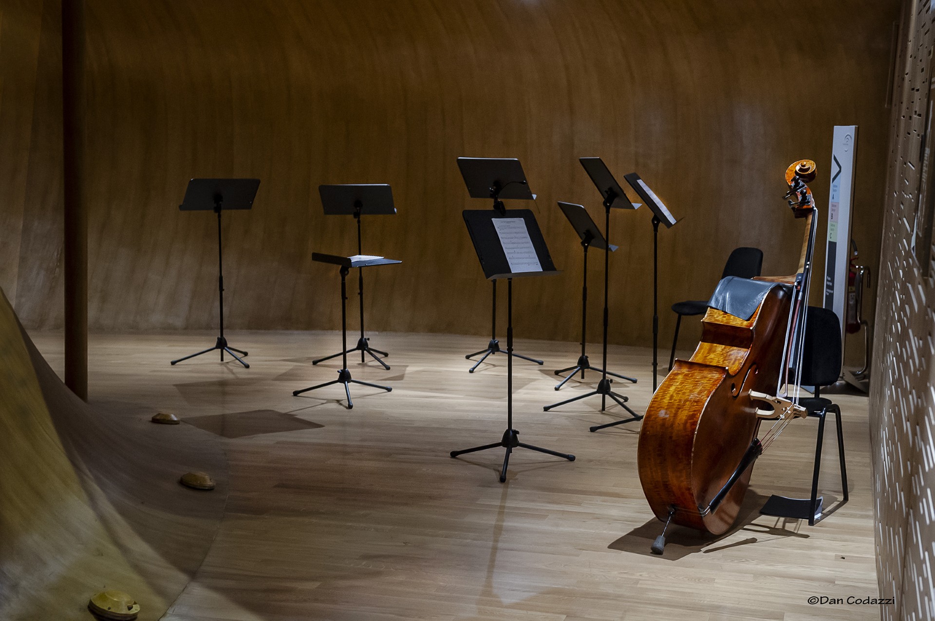 Stradivari e la città dei liutai”, un nuovo ponte tra la Rsa e il