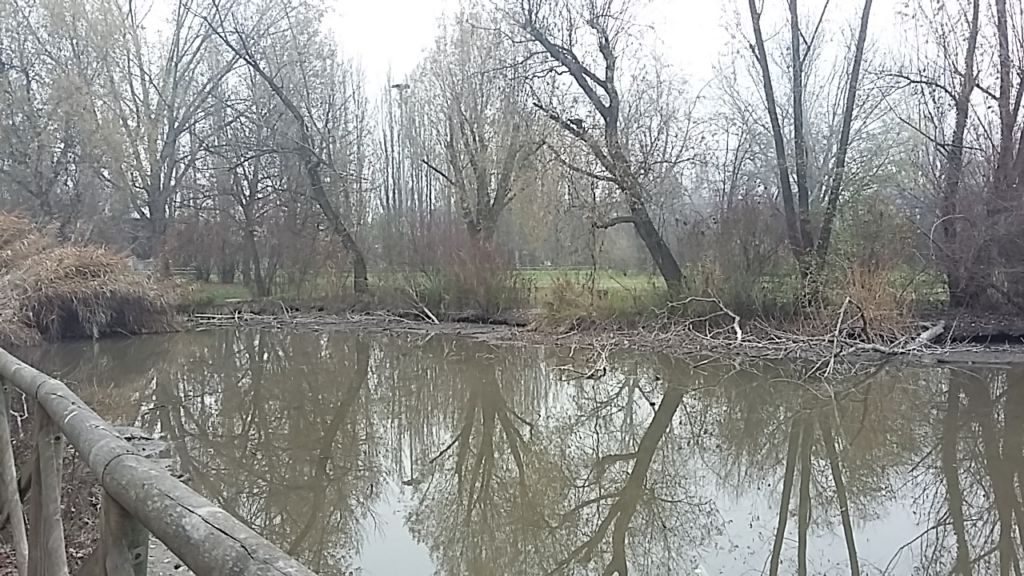 laghetto-pista-ciclistica-prima-intervento