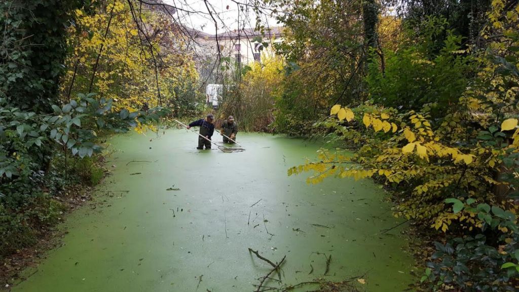 lavori-laghetto-vecchio-passeggio