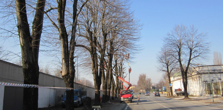 potature via cimitero - evid