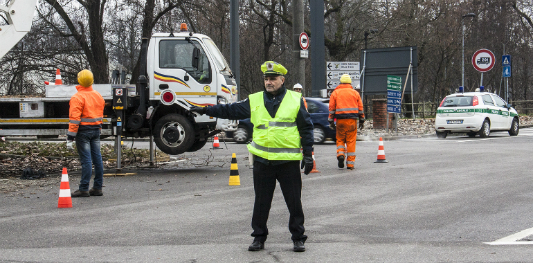 piante largo moreni vigile