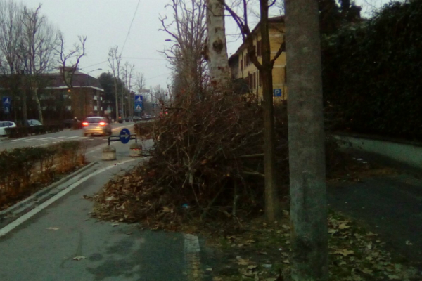 viale po rami a terra