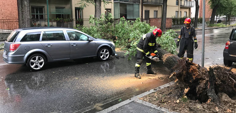 albero-caduto–via-giuseppina3